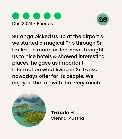 tripadvisor review image