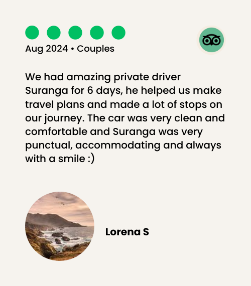 tripadvisor review image