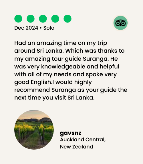 tripadvisor review image