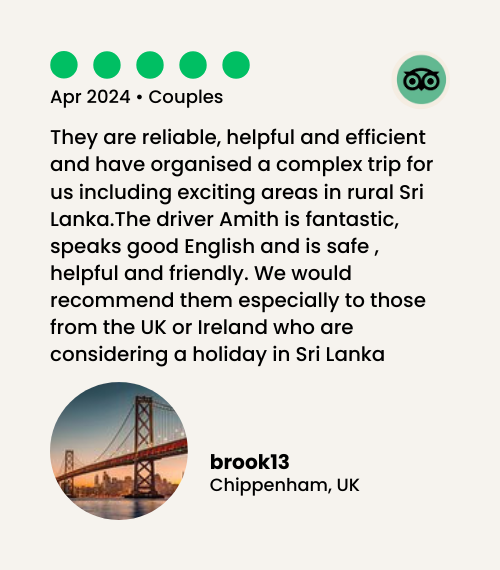 tripadvisor review image