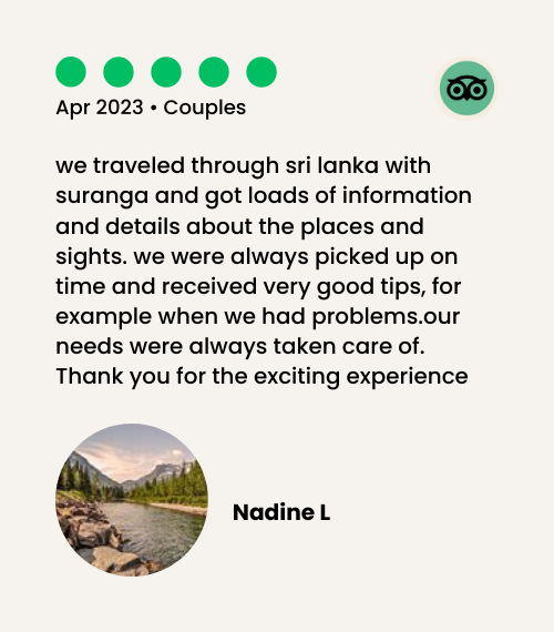 tripadvisor review image