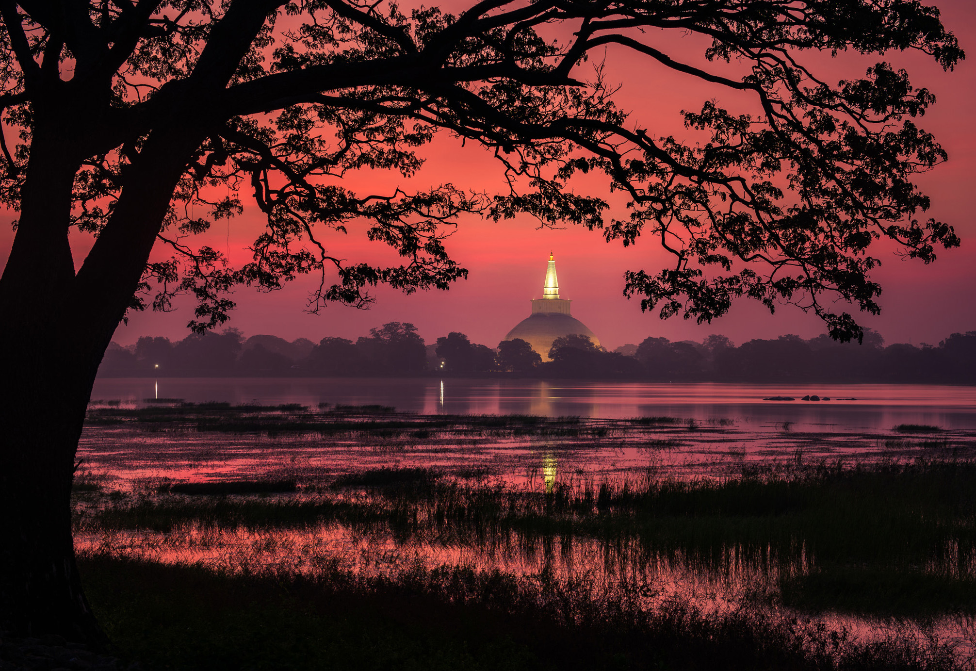 Anuradhapura